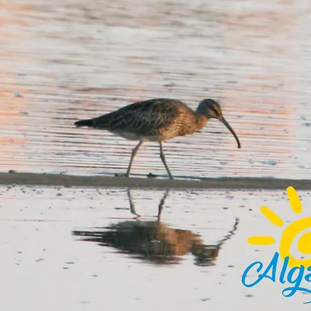 Pegada Retreat By Algartur 아파트 *