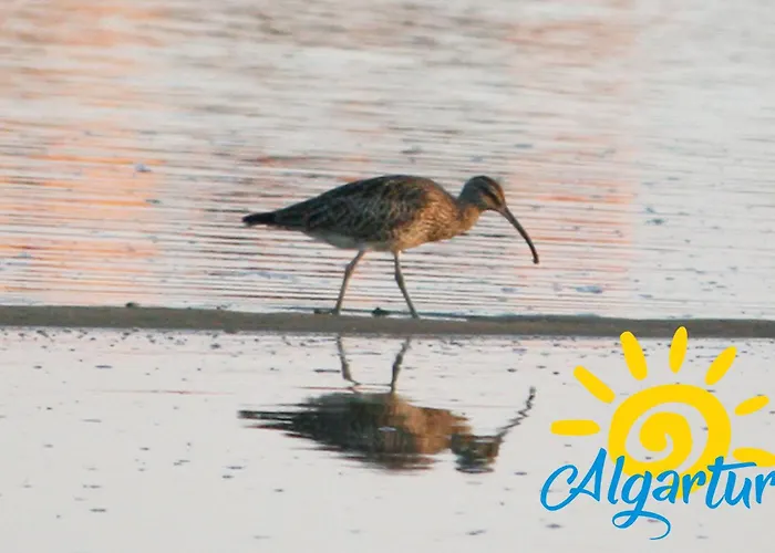 Pegada Retreat By Algartur 아파트 *